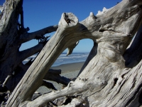 Naturparks in Nordamerika